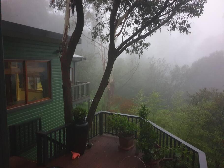 The Black Cockatoo - Secret Garden Treetops Home Katoomba Esterno foto
