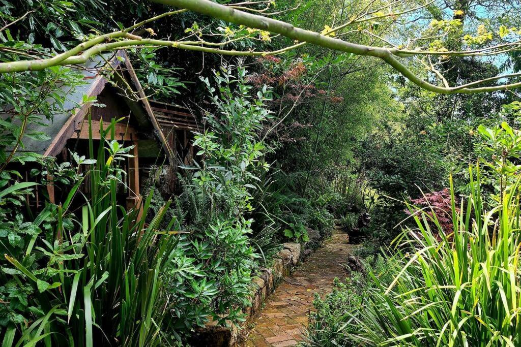The Black Cockatoo - Secret Garden Treetops Home Katoomba Esterno foto